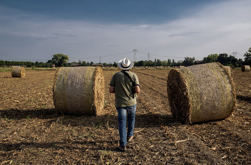 La terra il fieno e il fotografo. di frapio59