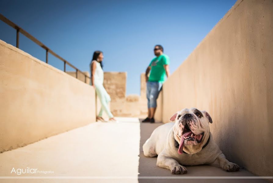 Pulmafotograaf Manolo Aguilar (manoloaguilar). Foto tehtud 23 mai 2019