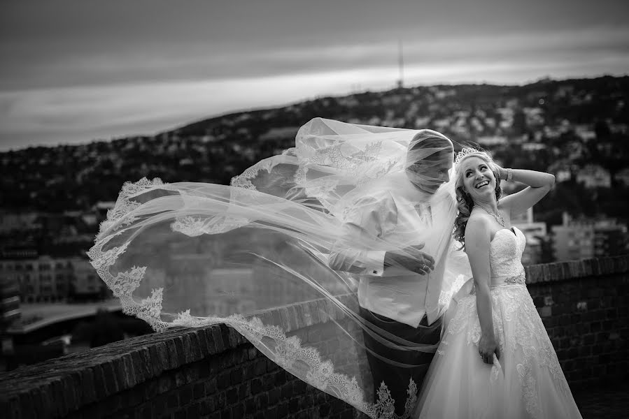 Wedding photographer László Víg (fotovig). Photo of 26 September 2017