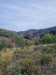 terrain à Banyuls-sur-Mer (66)