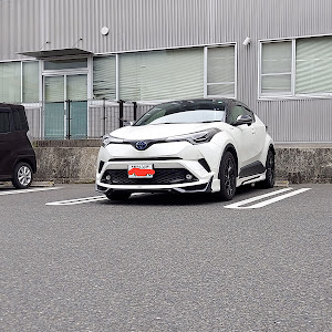 C-HR ZYX10