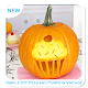 Download Simple DIY Peekabo Pumpkin Vintage For PC Windows and Mac 1.0