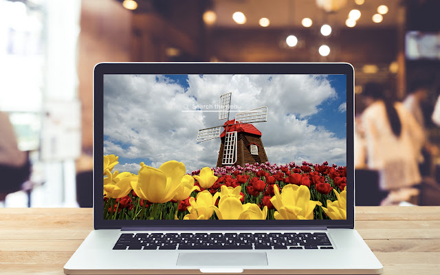 Tulips HD Wallpapers Holland Theme