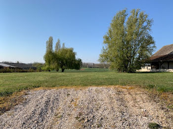 terrain à Chivres (21)