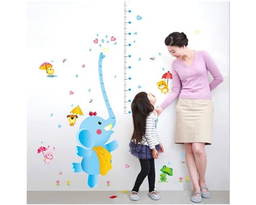 Recommendations for Children's Height Measurement Tool