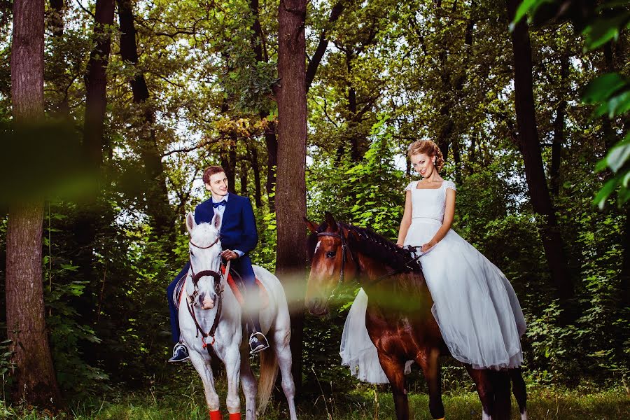 Photographe de mariage Andrey Mayatnik (majatnik). Photo du 24 décembre 2014