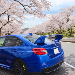 WRX STI VAB