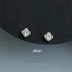 Silver Pair
