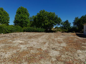 terrain à Grand'Landes (85)