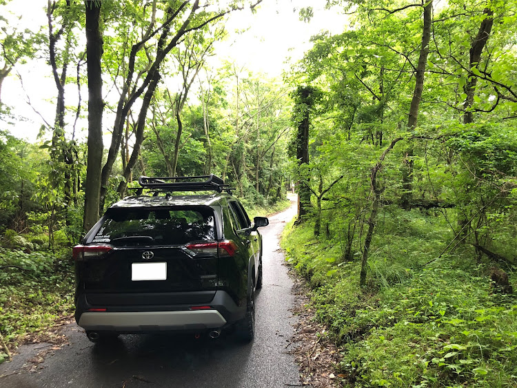 RAV4の新緑の季節・好きにまみれろ‼️・気分爽快・林道・コロナが早く終息しますようにに関するカスタム事例の投稿画像2枚目