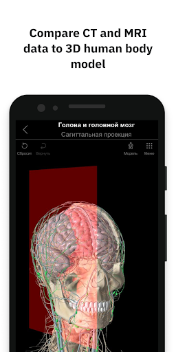 Screenshot Pirogov Anatomy