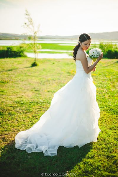 Wedding photographer Rodrigo Osorio (rodrigoosorio). Photo of 18 August 2017