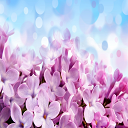 Lilac Sky HD Wallpaper Theme