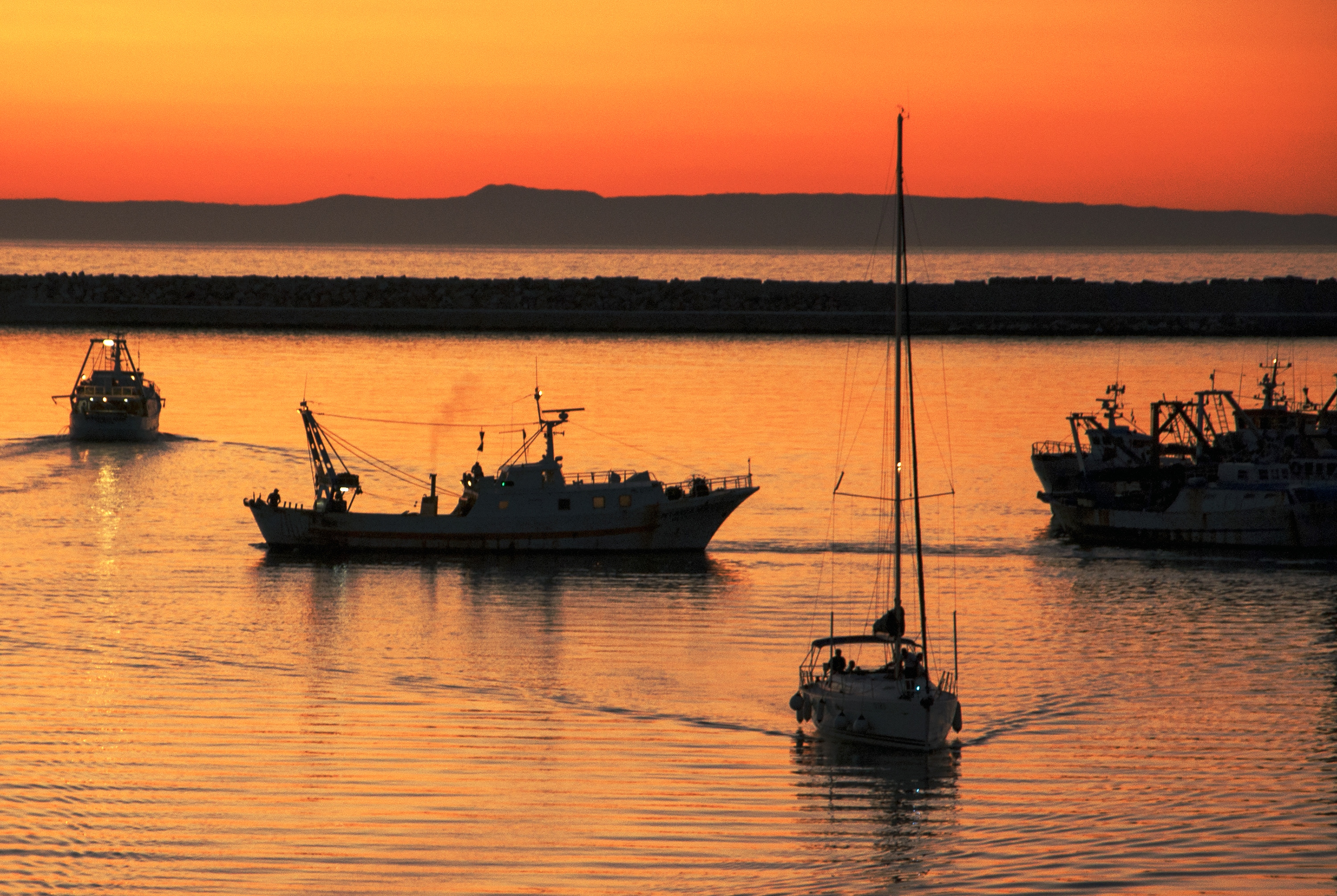 Boat people di Domenico del Rosso