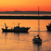 Boat people di Domenico del Rosso