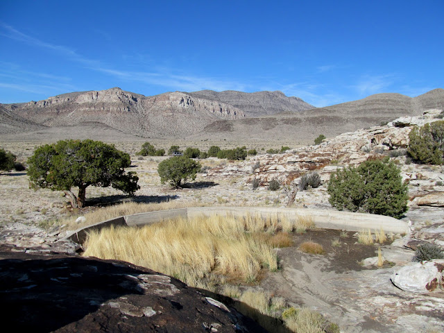 One of several small dams at Ibex