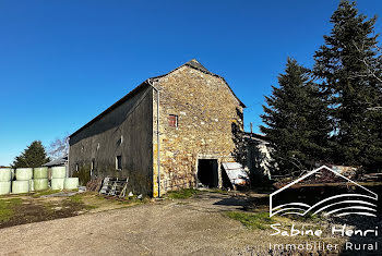 ferme à La Salvetat-Peyralès (12)