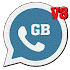 GB Wasahp Pro V81.0