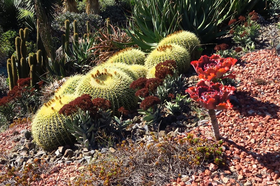 Melbourne’s Royal Botanical Gardens 