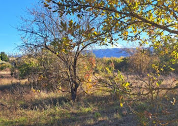 terrain à Cabrières-d'Avignon (84)