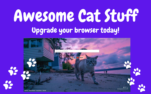 Awesome Cat Stuff