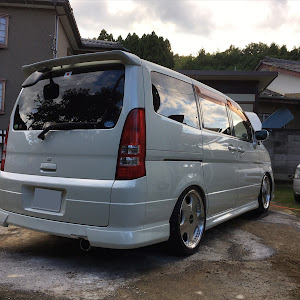 セレナ TC24