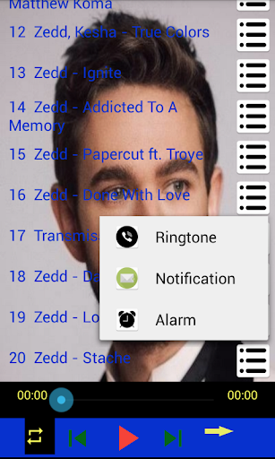 Zedd all songs offline music