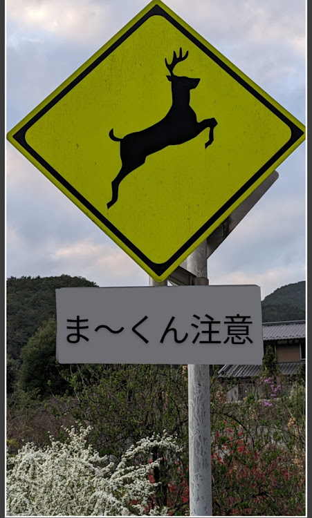 スイフトの定峰峠・秩父側開通に関するカスタム事例の投稿画像9枚目