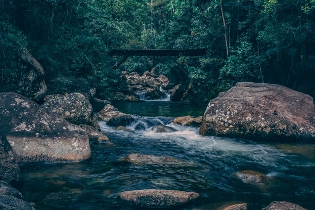 Tranquil, water gently flowing over rocks nestled within a lush green forest in Itatiaia National Park in Brazil