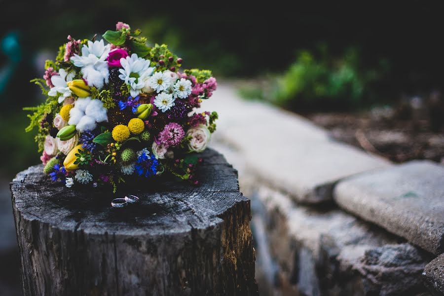 Photographe de mariage Nikol Wetterová (nikolwett). Photo du 30 juillet 2019