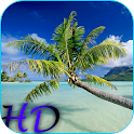 Beach HD Video Live Wallpaper