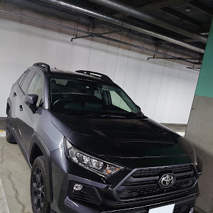 RAV4 MXAA54