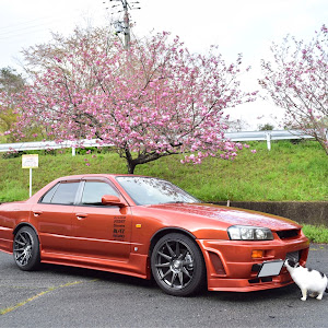 スカイライン ER34