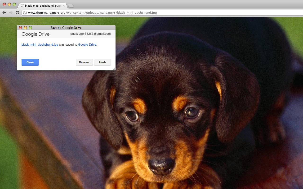 Save to Google Drive Preview image 4