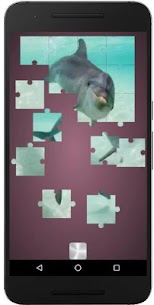 بازل تعليمي تركيب صور الدلفين الجميلة Puzzle 4