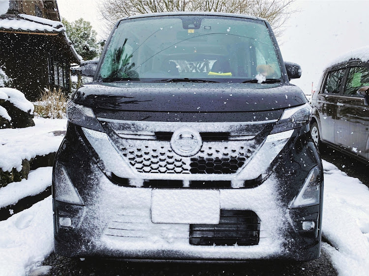 ルークスの写真スポット・メタセコイア並木道・雪道は車が汚れるぞに関するカスタム事例の投稿画像4枚目