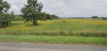 terrain à Cosne-Cours-sur-Loire (58)