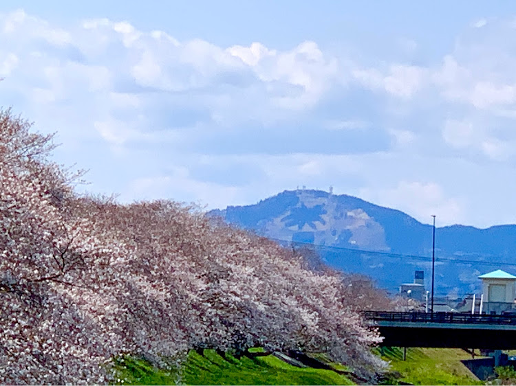 S660の桜と愛車・いっぷくショットに関するカスタム事例の投稿画像8枚目