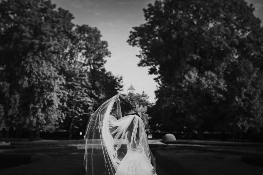 Fotógrafo de casamento Tomasz Cichoń (tomaszcichon). Foto de 1 de outubro 2019