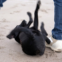 Giochi in spiaggia di 