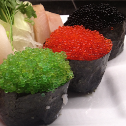 Tobiko Sashimi or Nigiri