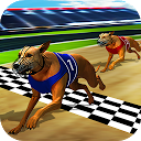 App Download Wild Greyhound Dog Racing Install Latest APK downloader