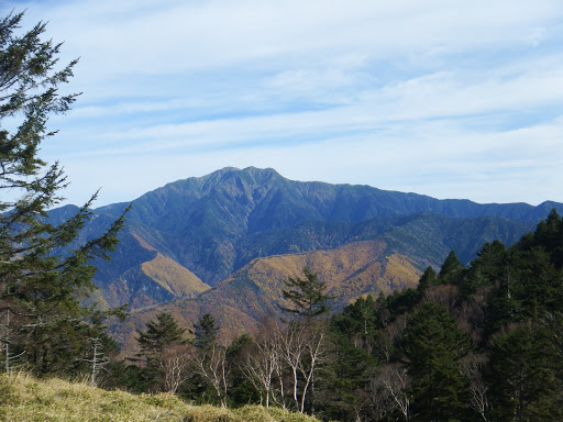 草原から仙丈ヶ岳