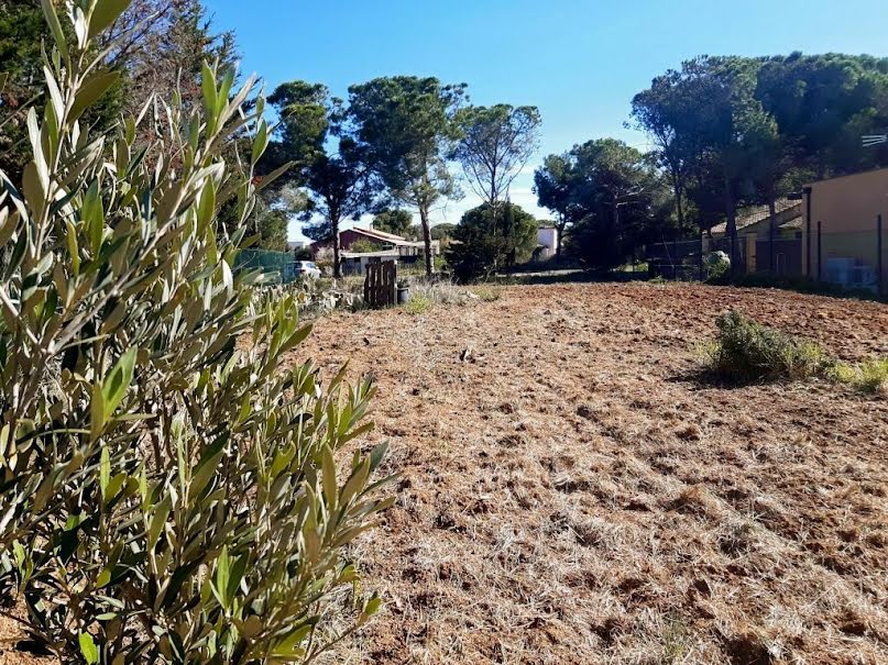 Vente terrain  1138 m² à Marseillan (34340), 399 000 €