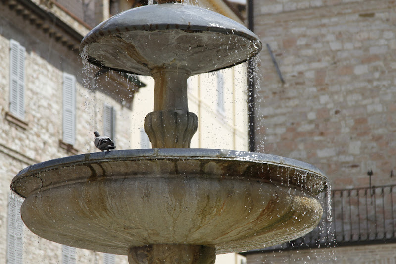 La fontana di Bevagna di stefanoprive