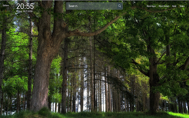 Forest Wallpapers NewTab Theme