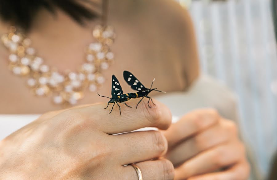 Photographe de mariage Elena Mikhaylova (elenamikhaylova). Photo du 5 juillet 2017