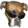 Dog vision icon