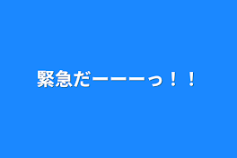 緊急だーーーっ！！