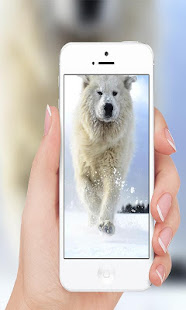 Big dog(圖2)-速報App